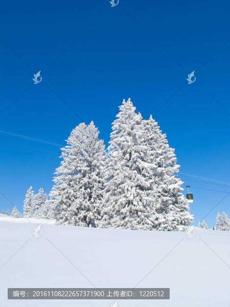 滑雪坡