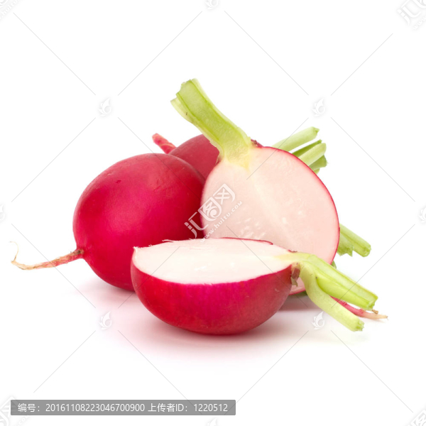 小蘿卜