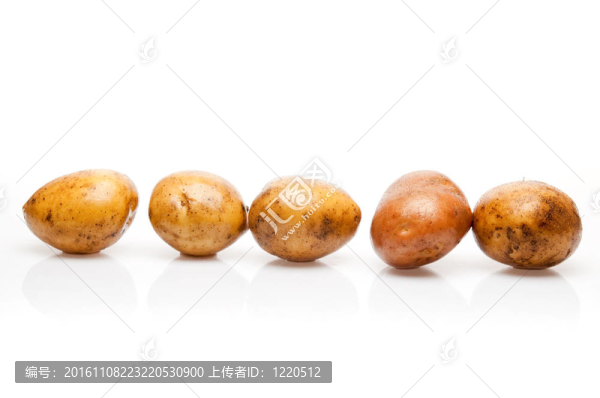 土豆