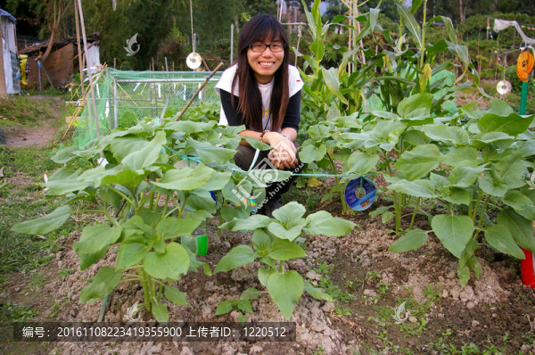 農(nóng)田中的亞洲婦女