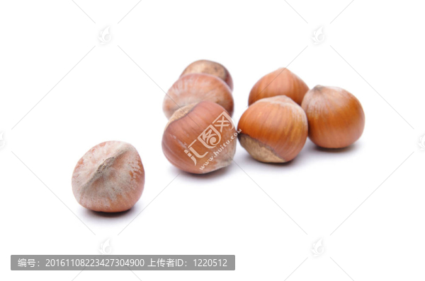 榛子