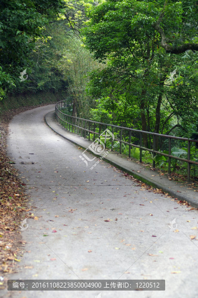 公園里的小路