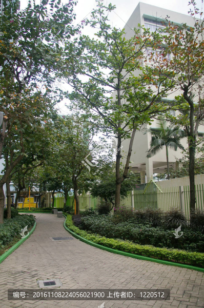 公園里的小路
