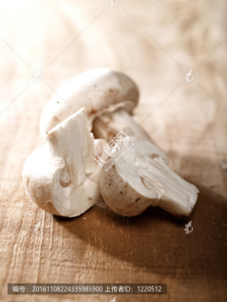 木桌上的蘑菇少