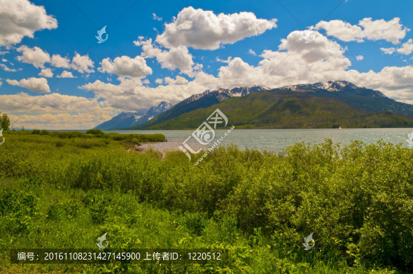 杰克遜湖景觀