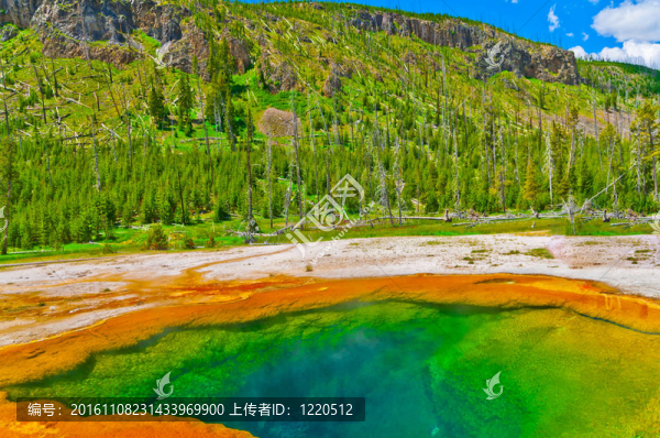 美麗的Green,Geyser