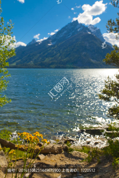 杰克遜湖景觀