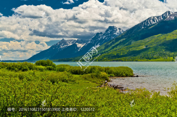 杰克遜湖景觀