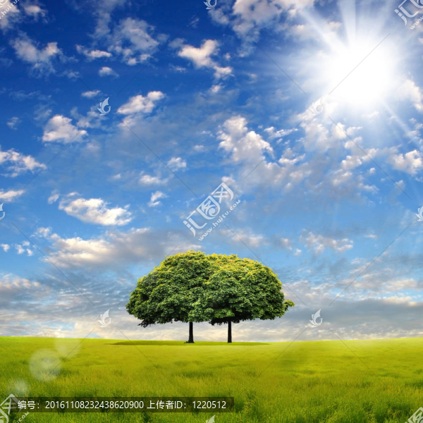 自然景觀與云