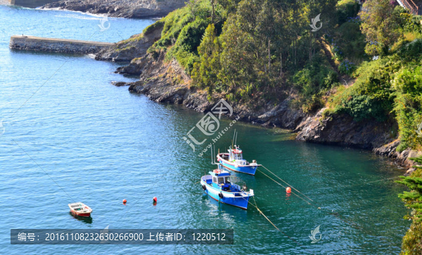 海港的船只