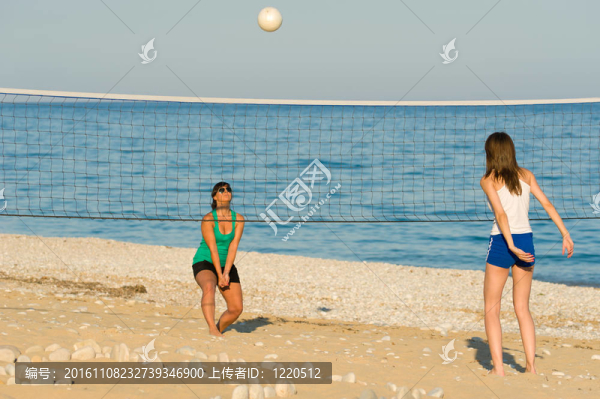 沙灘排球