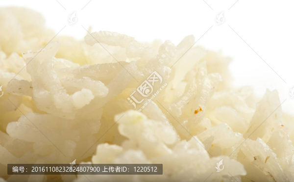 水稻把