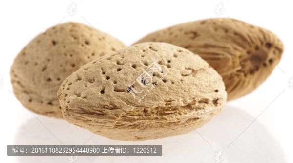 杏仁