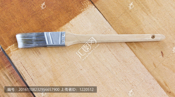 雪松染色