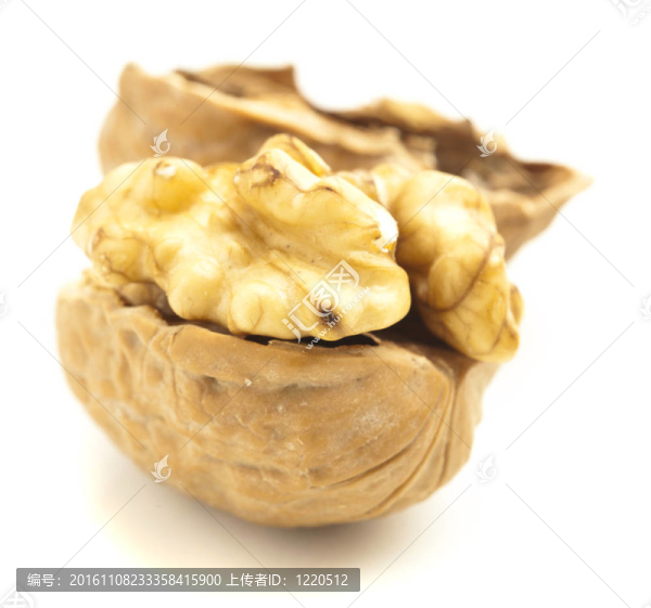 帶殼堅(jiān)果