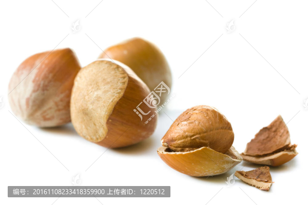 榛子