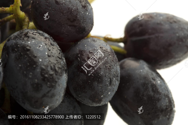 葡萄