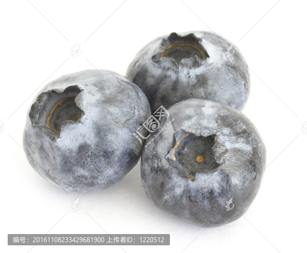 新鮮的藍(lán)莓