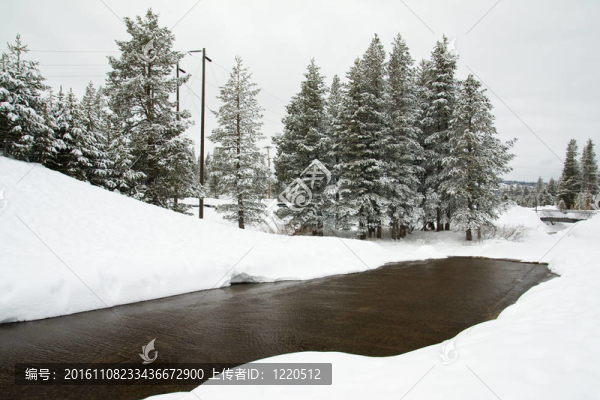冬天的雪景