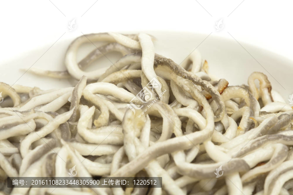 西班牙的鰻魚