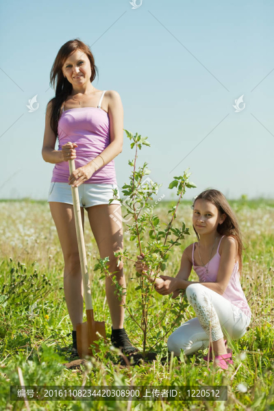 女人與十幾歲的女兒設(shè)置樹