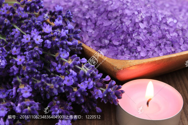 薰衣草SPA
