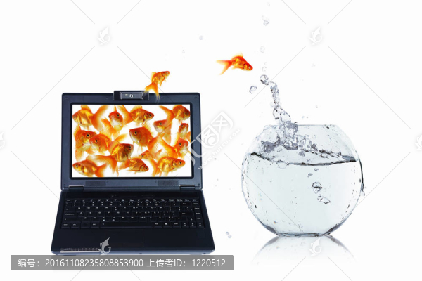 筆記本屏幕上的金魚