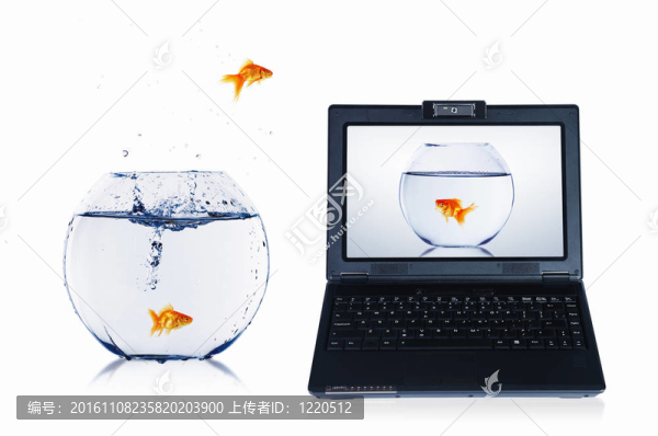 筆記本屏幕上的金魚