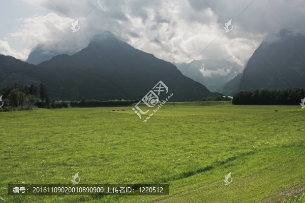 綠草山