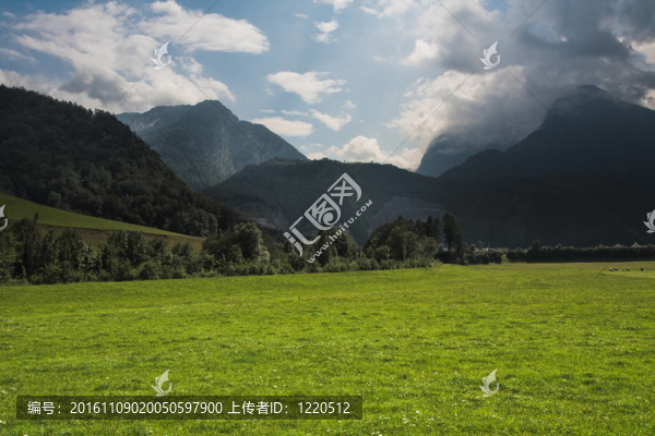 綠草山