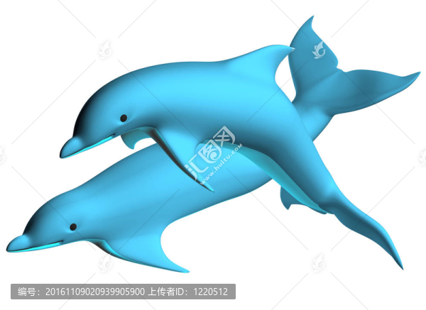 海豚02