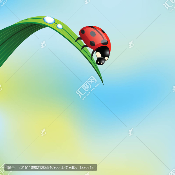 瓢蟲在草地上。