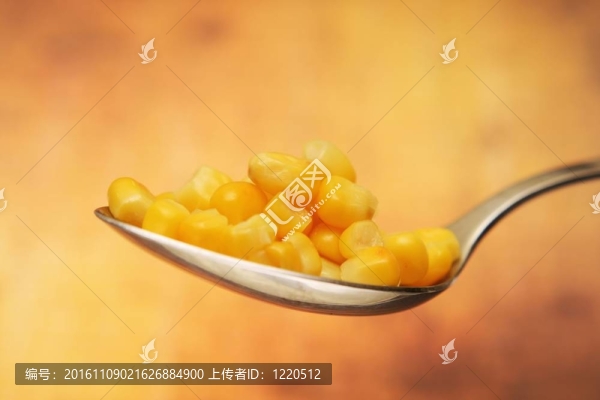 黃色的玉米