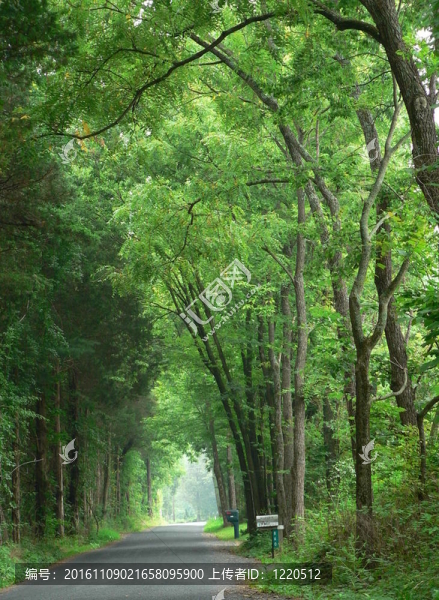 鄉(xiāng)間小路