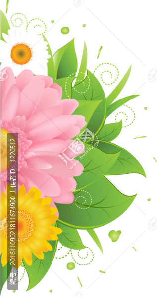 摘要花