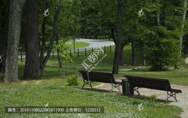 公園里的兩條長凳