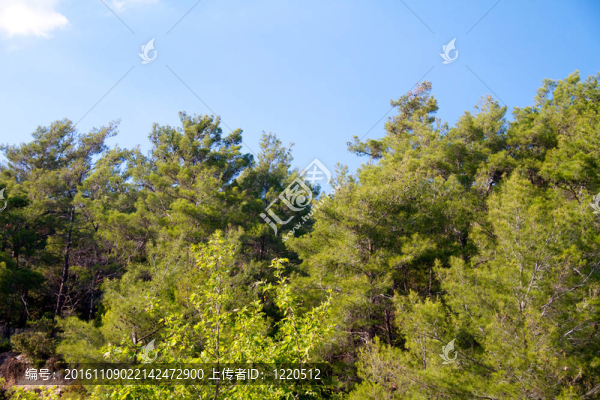 希臘的高山和巖石羅德