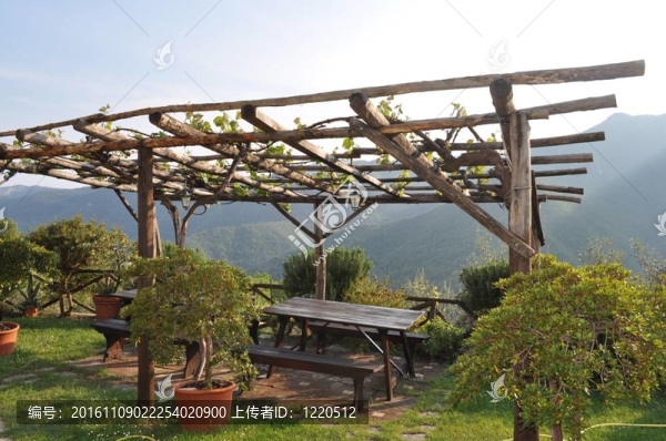 花園的涼亭
