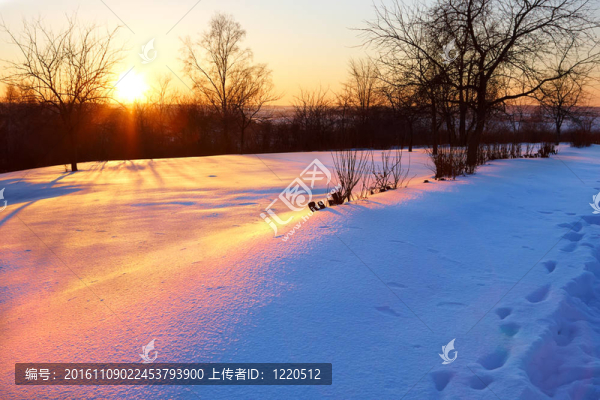日落冬季公園
