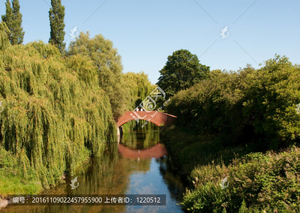 橋