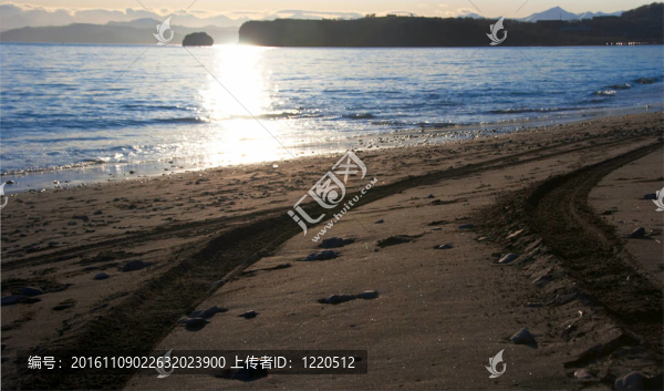 沙質(zhì)海岸上的汽車痕跡