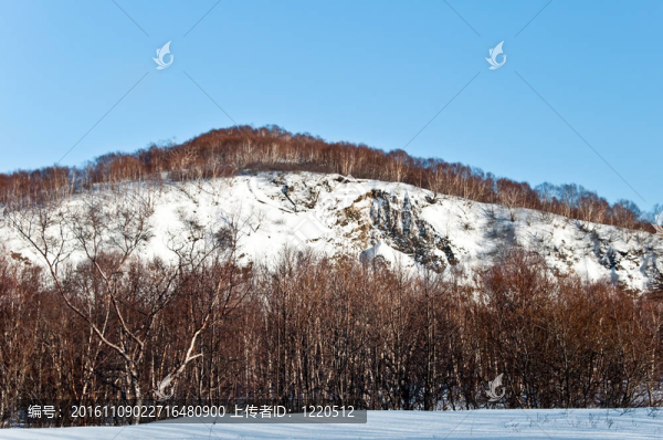 Hill在雪中