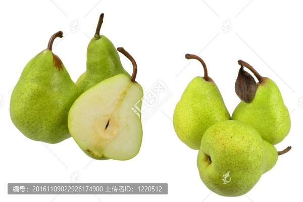 2梨圖片集