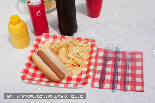 夏季的熱狗
