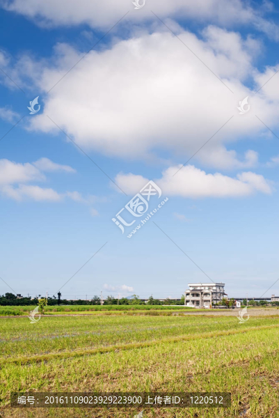 鄉(xiāng)村的風(fēng)景