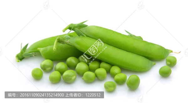 年輕的豌豆