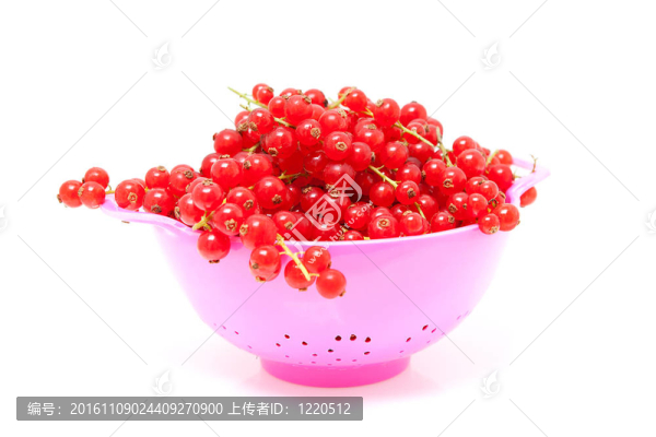 紅醋栗漿果漏勺