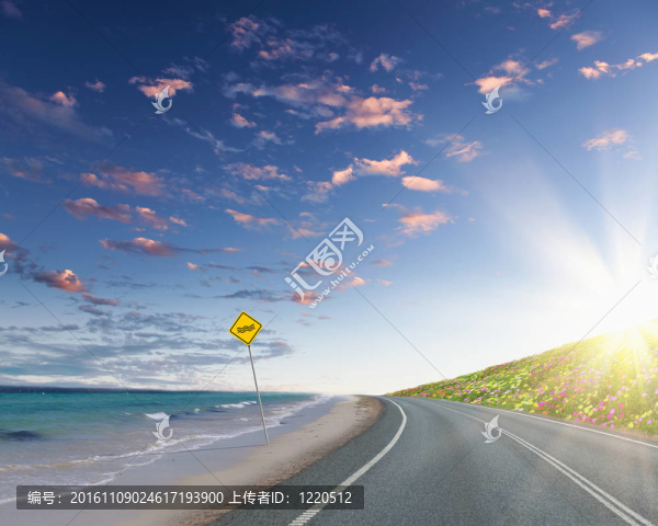 路與地平線