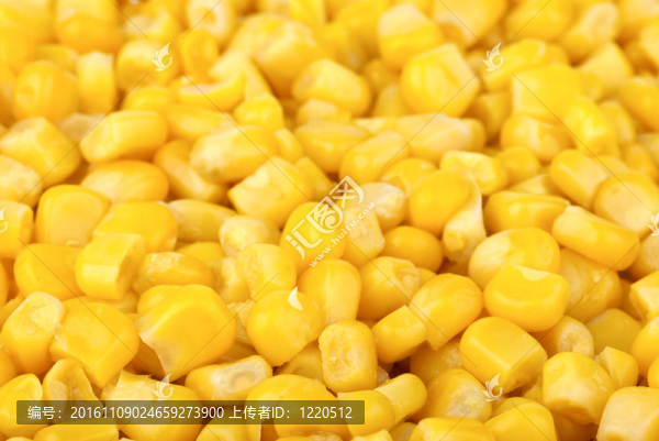 食品背景：制備玉米粒