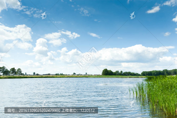 湖